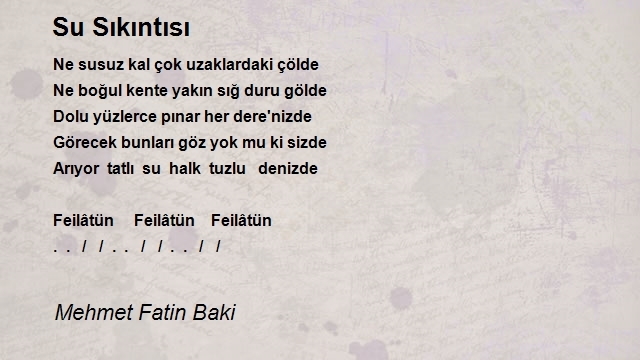 Mehmet Fatin Baki