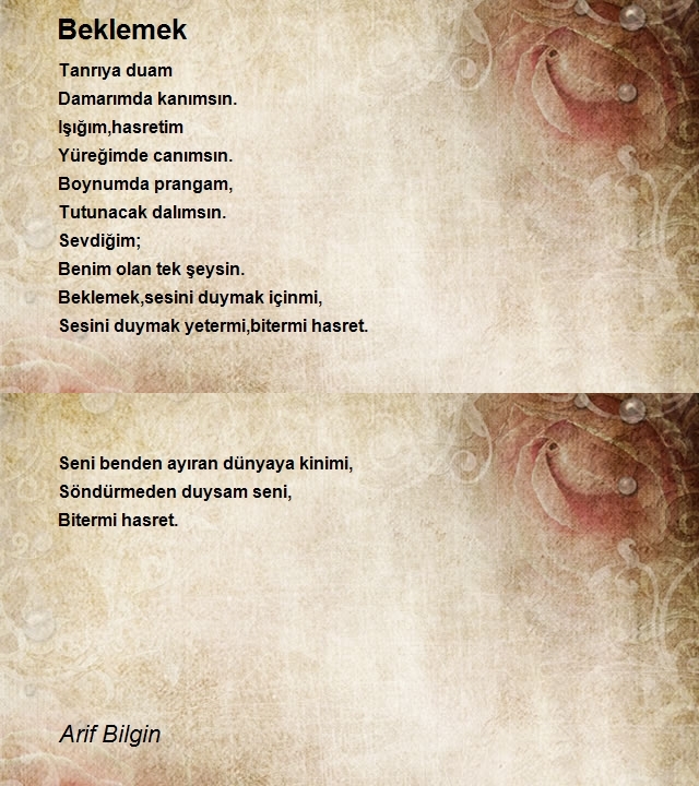 Arif Bilgin