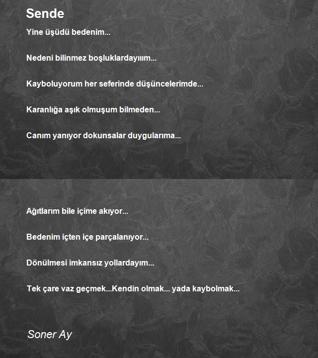 Soner Ay