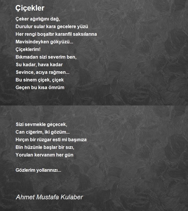 Ahmet Mustafa Kulaber