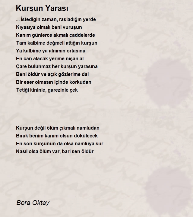 Bora Oktay