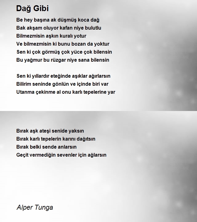 Alper Tunga