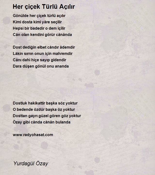 Yurdagül Özay