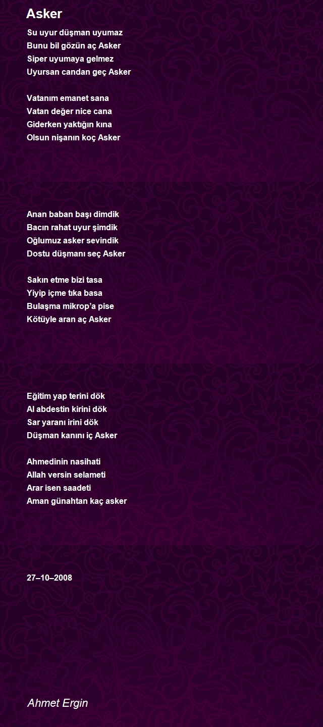 Ahmet Ergin