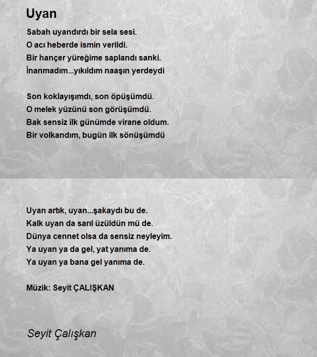 Seyit Çalışkan