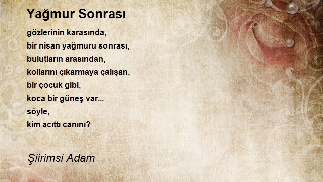 Şiirimsi Adam