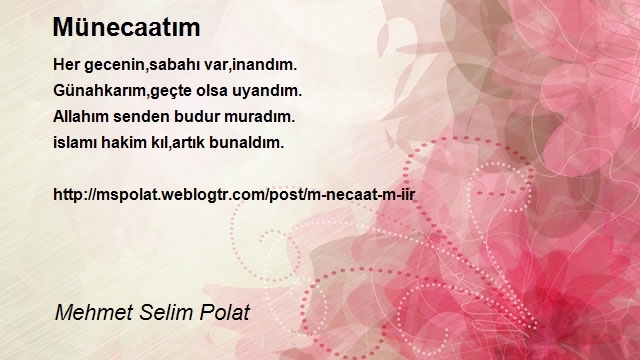 Mehmet Selim Polat