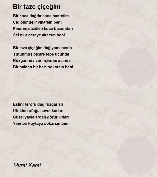 Murat Karal