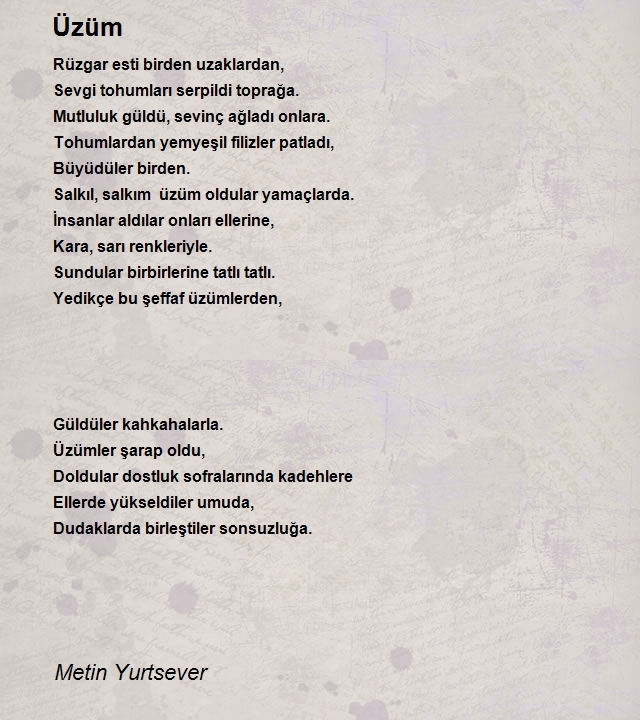 Metin Yurtsever