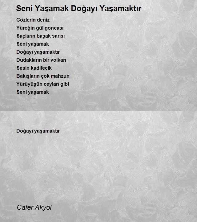 Cafer Akyol