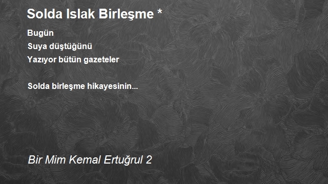 Bir Mim Kemal Ertuğrul 2