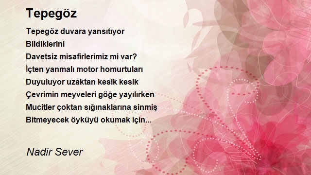 Nadir Sever