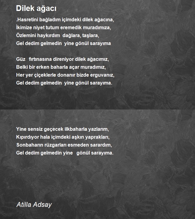 Atilla Adsay