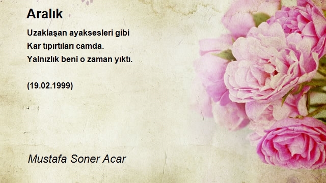 Mustafa Soner Acar