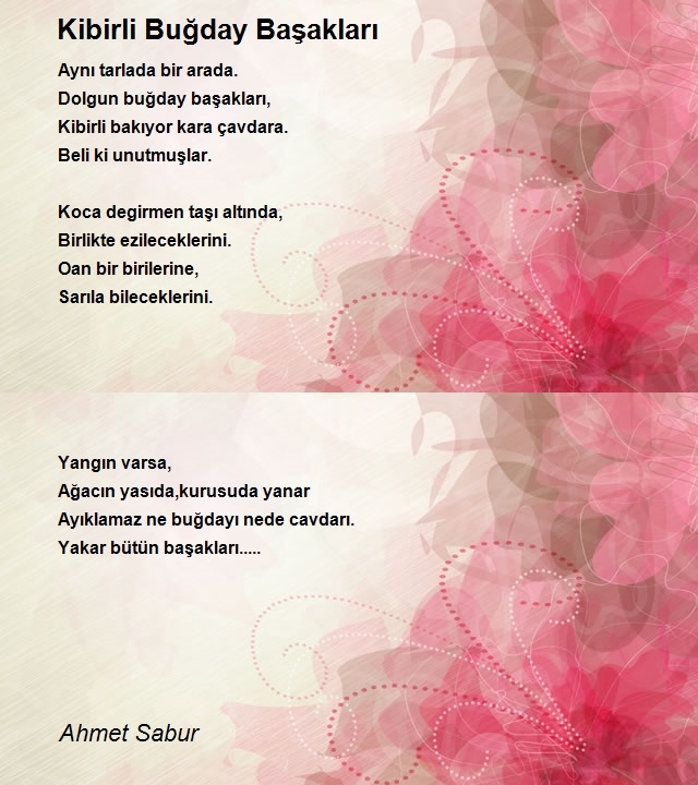 Ahmet Sabur