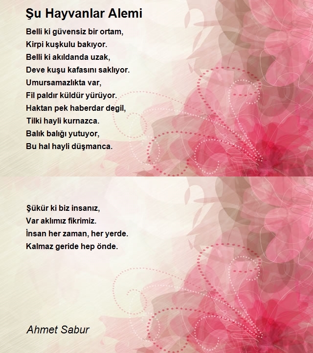 Ahmet Sabur