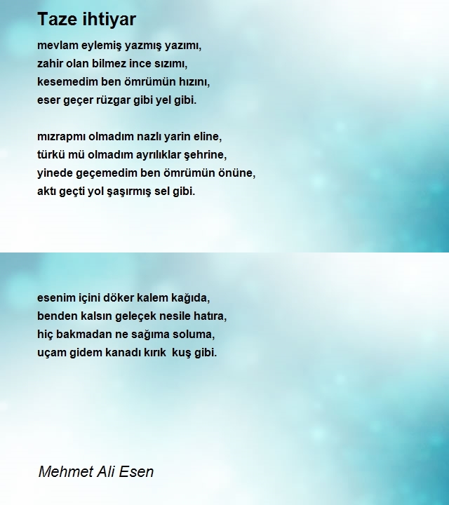 Mehmet Ali Esen