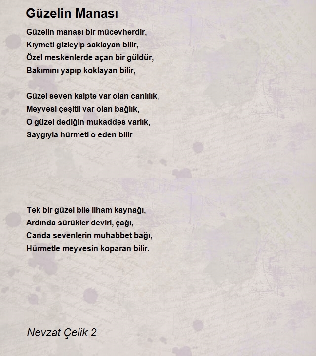 Nevzat Çelik 2