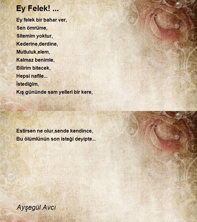 Ayşegül Avcı