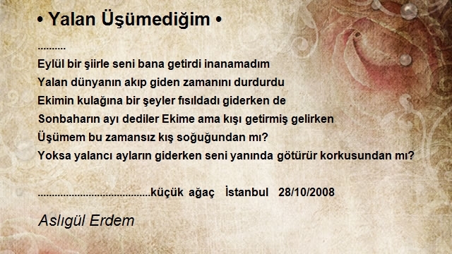 Aslıgül Erdem