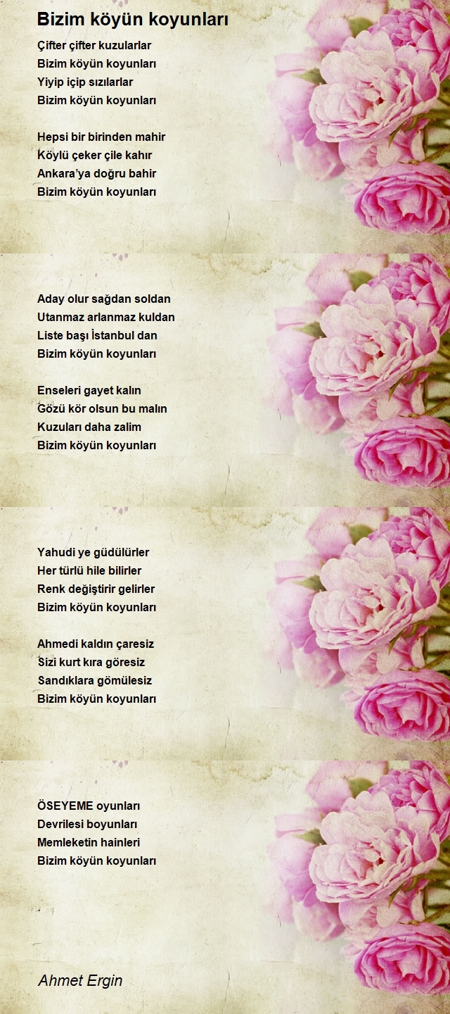 Ahmet Ergin