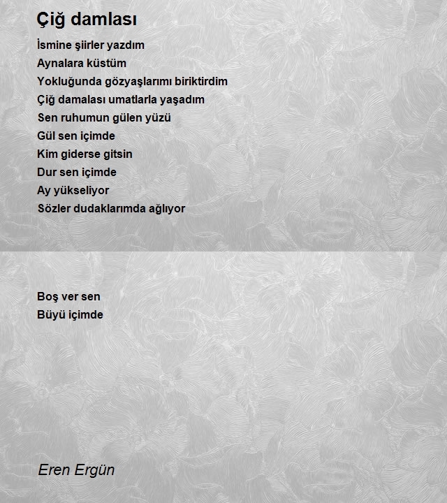 Eren Ergün