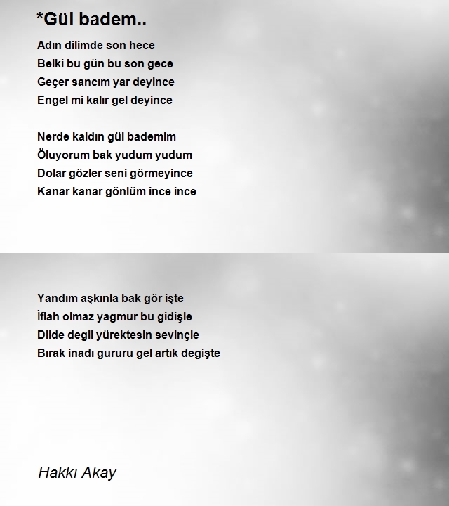 Hakkı Akay