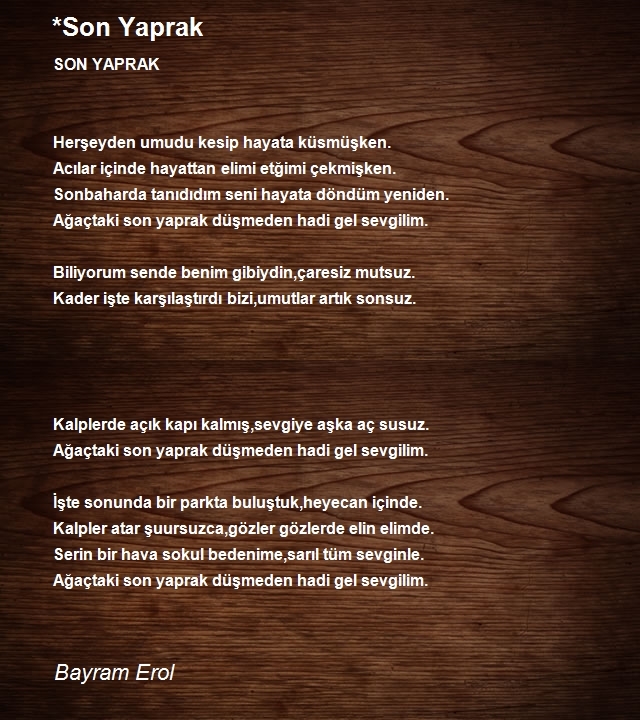 Bayram Erol