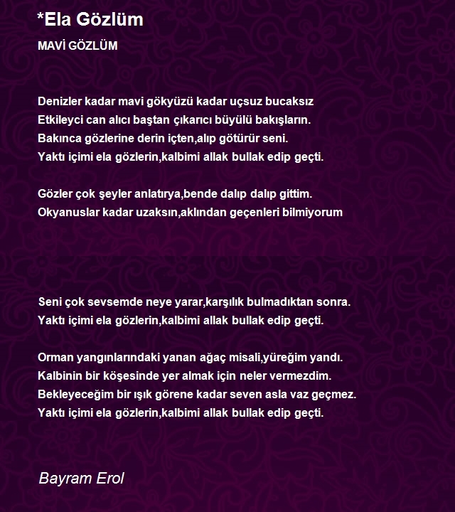 Bayram Erol