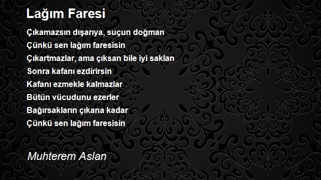 Muhterem Aslan