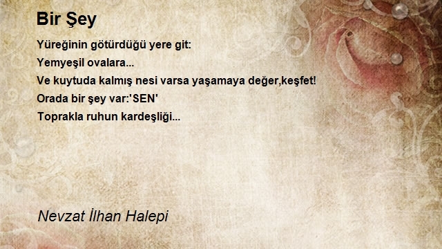 Nevzat İlhan Halepi