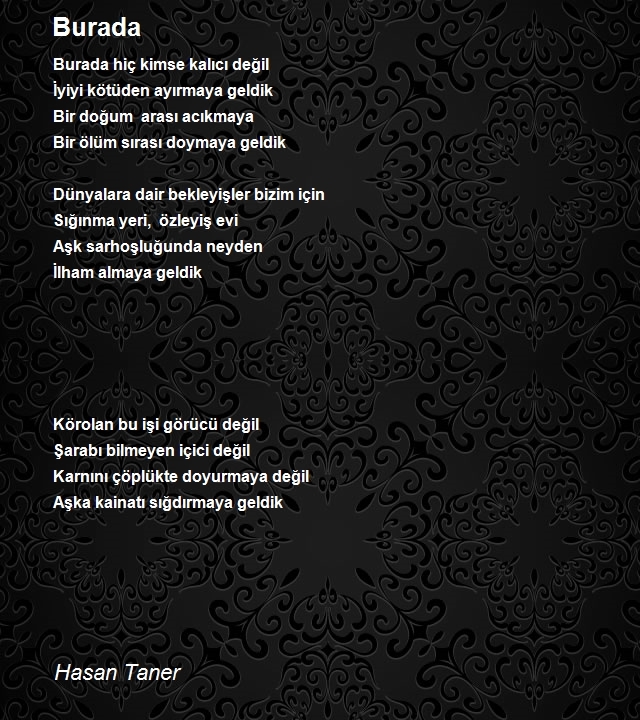 Hasan Taner