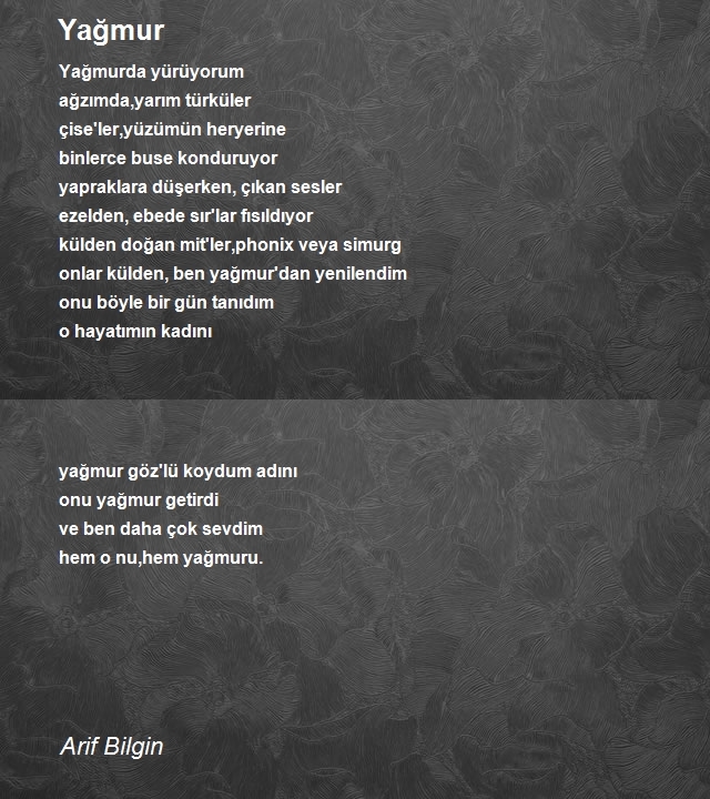 Arif Bilgin