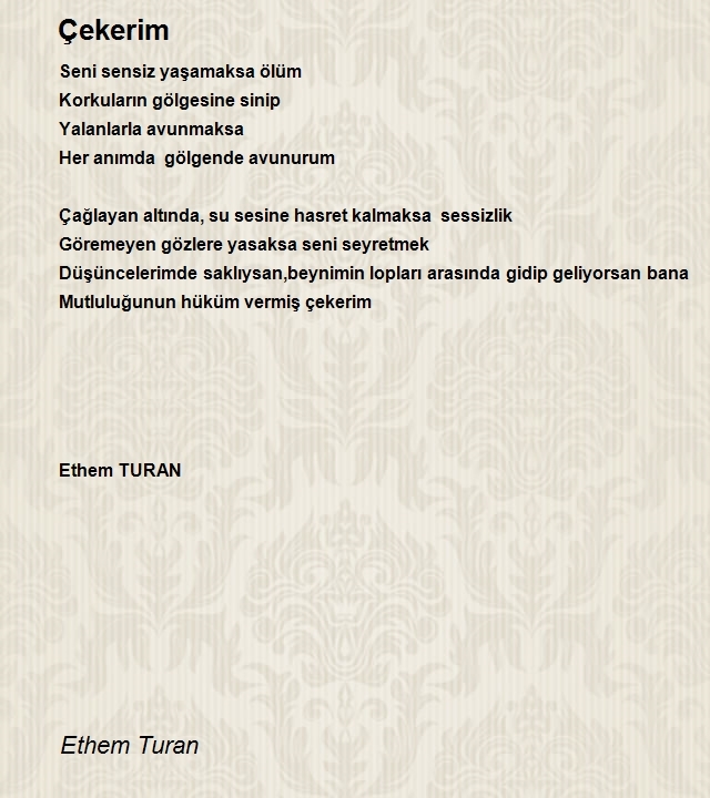 Ethem Turan