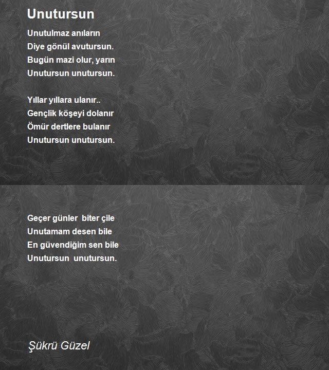 Şükrü Güzel