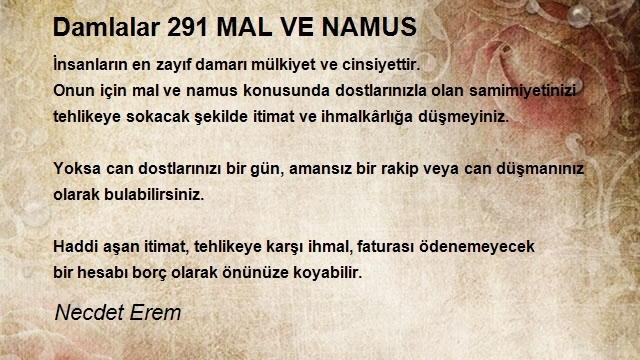 Necdet Erem