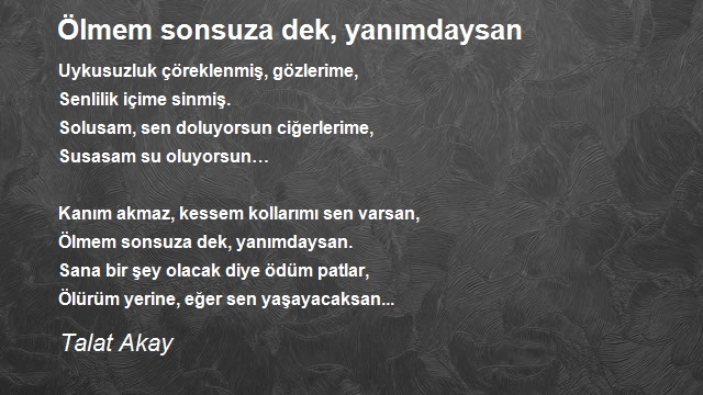 Talat Akay