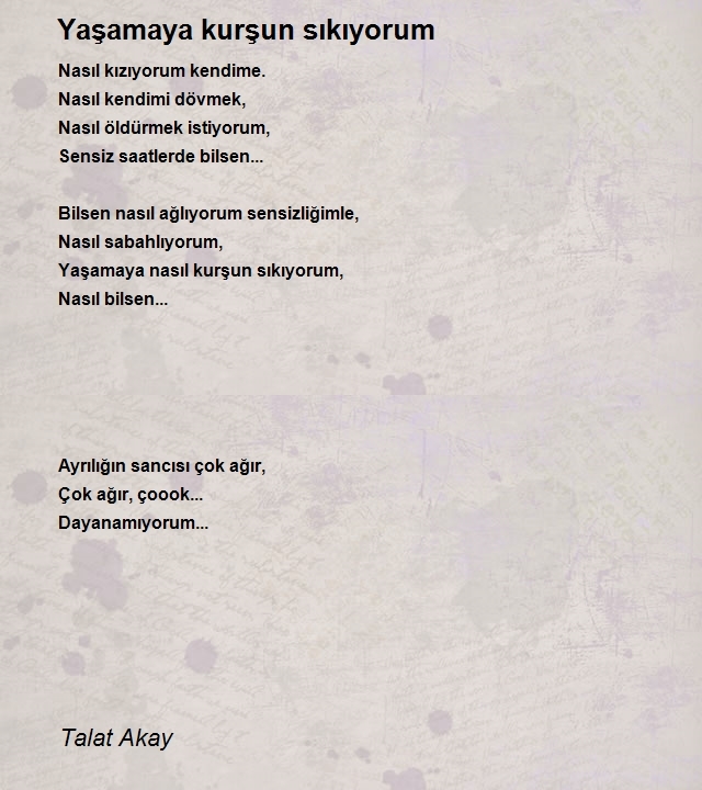 Talat Akay