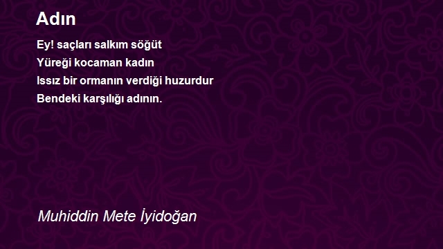 Muhiddin Mete İyidoğan