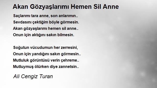 Ali Cengiz Turan