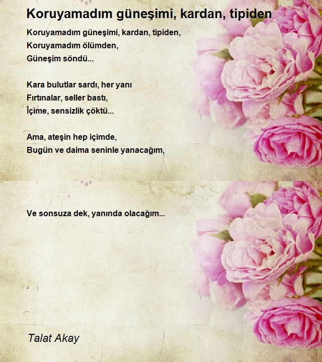 Talat Akay