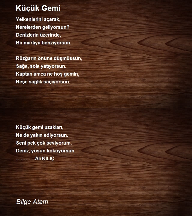 Bilge Atam