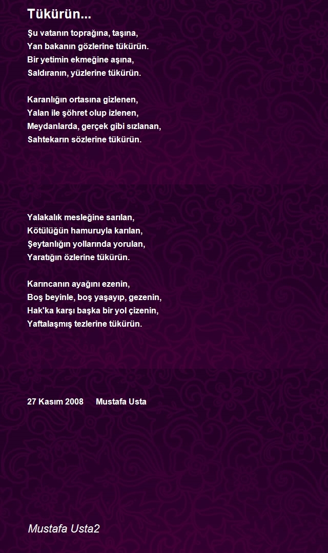 Mustafa Usta2