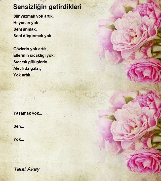 Talat Akay