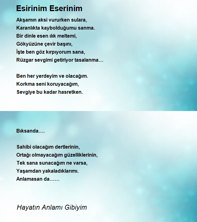 Hayatın Anlamı Gibiyim