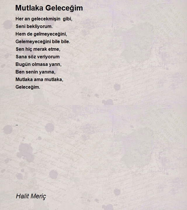 Halit Meriç