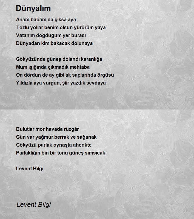 Levent Bilgi