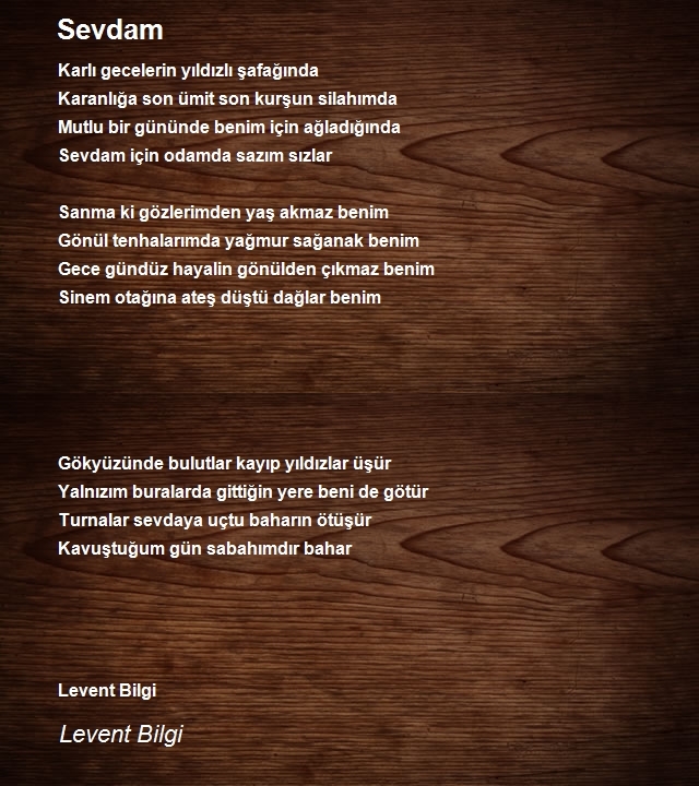 Levent Bilgi