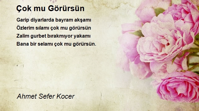 Ahmet Sefer Kocer