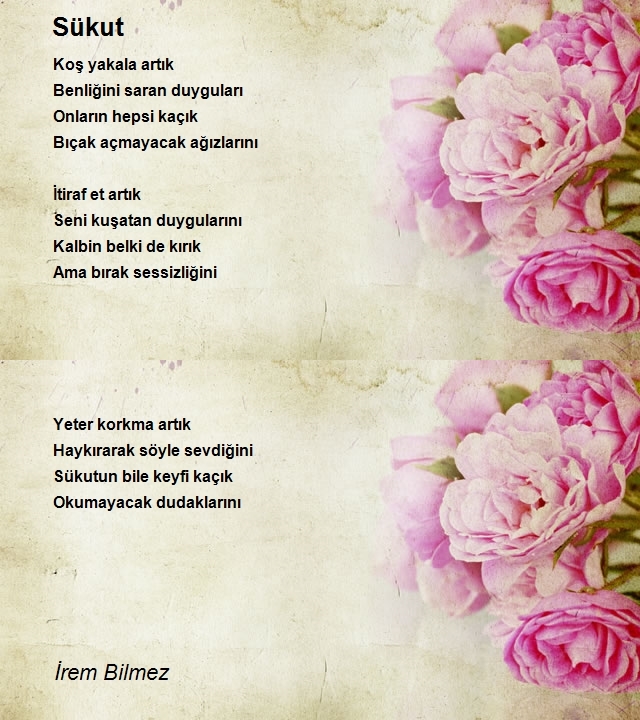 İrem Bilmez